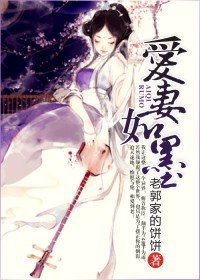《宠妻-爱妻如墨》