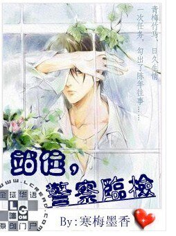 《站住,警察临检》