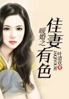 《暖婚之佳妻有色》