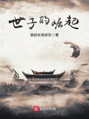《世子的崛起》