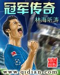 《冠军传奇》
