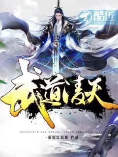 《武道凌天》
