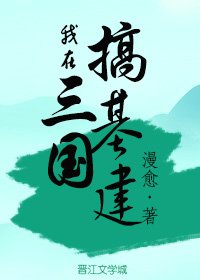 《我在三国搞基建》