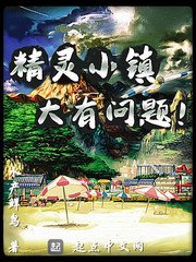《精灵小镇大有问题》