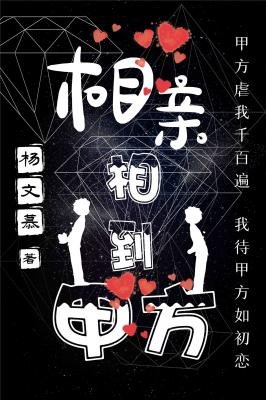 《相亲相到甲方》
