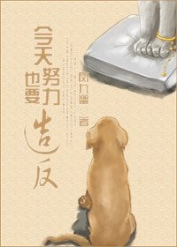 《今天也要努力造反》