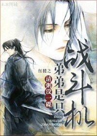 《(红楼同人)红楼之弟弟是只战斗机》