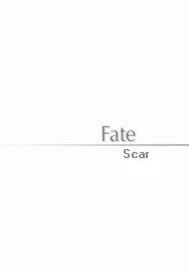 《(综漫同人)Fate/Scar》