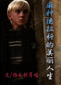 《(HP同人)麻种德拉科的美丽人生》