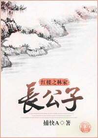 《(红楼同人)红楼之林家长公子》