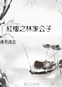 （BL/红楼同人）红楼之林家公子
