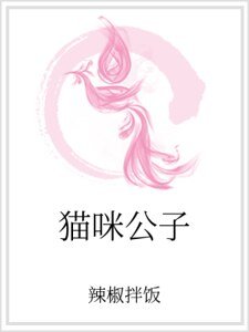 《猫咪公子》