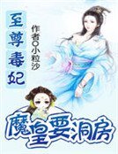 《至尊毒妃:魔皇要洞房》