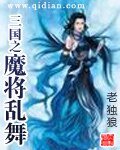 《(三国同人)三国之魔将乱舞》