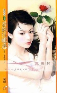 看你往哪逃！（赏金猎人系列之一）