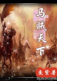 《马贼天下》
