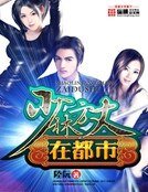 《少林方丈在都市》