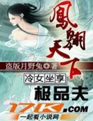 皇上也争宠:冷女坐享极品夫