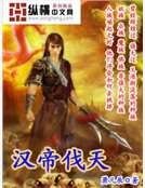 《汉帝伐天》