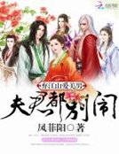 《弃江山爱美男:夫君都别闹》