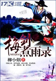 《梅剑煮雨录》