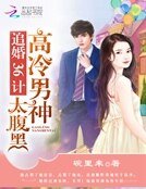 《高冷男神太腹黑:追婚36计》
