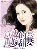 《独家婚宠,总裁的再嫁甜妻》