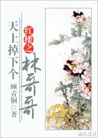 《(红楼同人)红楼之天上掉下个林哥哥》