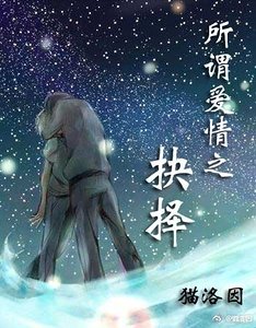 《所谓爱情之抉择》