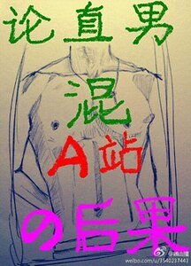 《论直男混A站的后果》