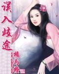 《误入歧途》