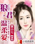《狼君,温柔爱》