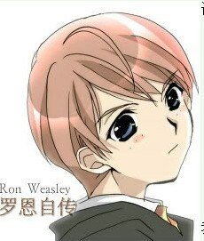 《(HP同人)罗恩自传》