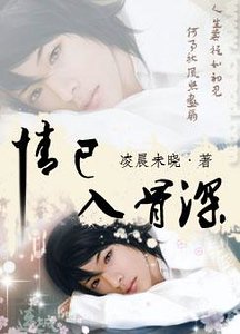 情已入骨深（原名：已道惘然，燊始惜非）