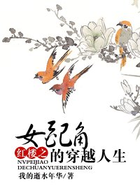 （红楼同人）红楼之女配角的穿越人生