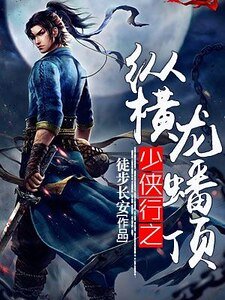 少侠行之纵横龙蟠顶