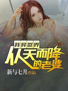 《我异世界从天而降的老婆》