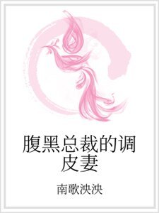 《腹黑总裁的调皮妻》