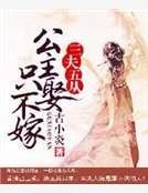 《三夫五从:公主只娶不嫁》