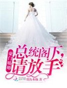 《豪门暖婚:总统阁下,请放手》