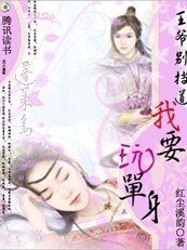 《王爷别挡道:我要玩单身》