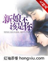 《新娘不该是你(火暴总裁)》