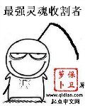 《最强灵魂收割者》