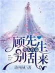 《美人有毒:顾先生别乱来》