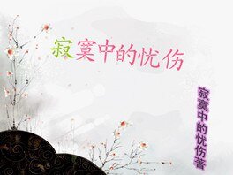 《寂寞中的忧伤》