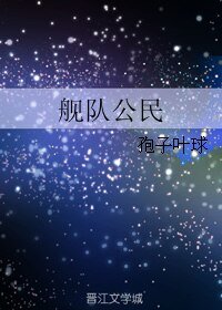 舰队公民