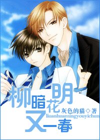 《柳暗花明又一春》