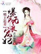 《邪王追妻:爆笑无良宠妃》