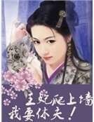 王妃爬上墙：我要休夫！