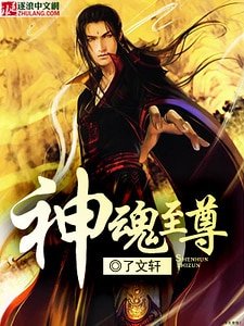《神魂至尊》